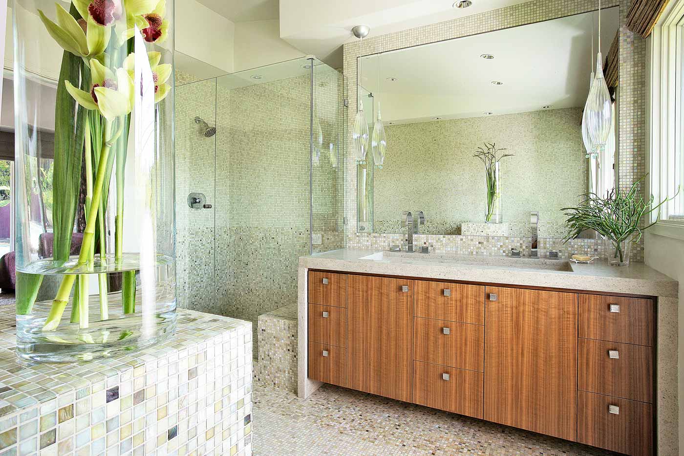 Marin County Ranch House