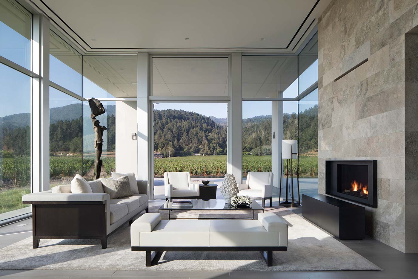 Modern Vineyard Estate