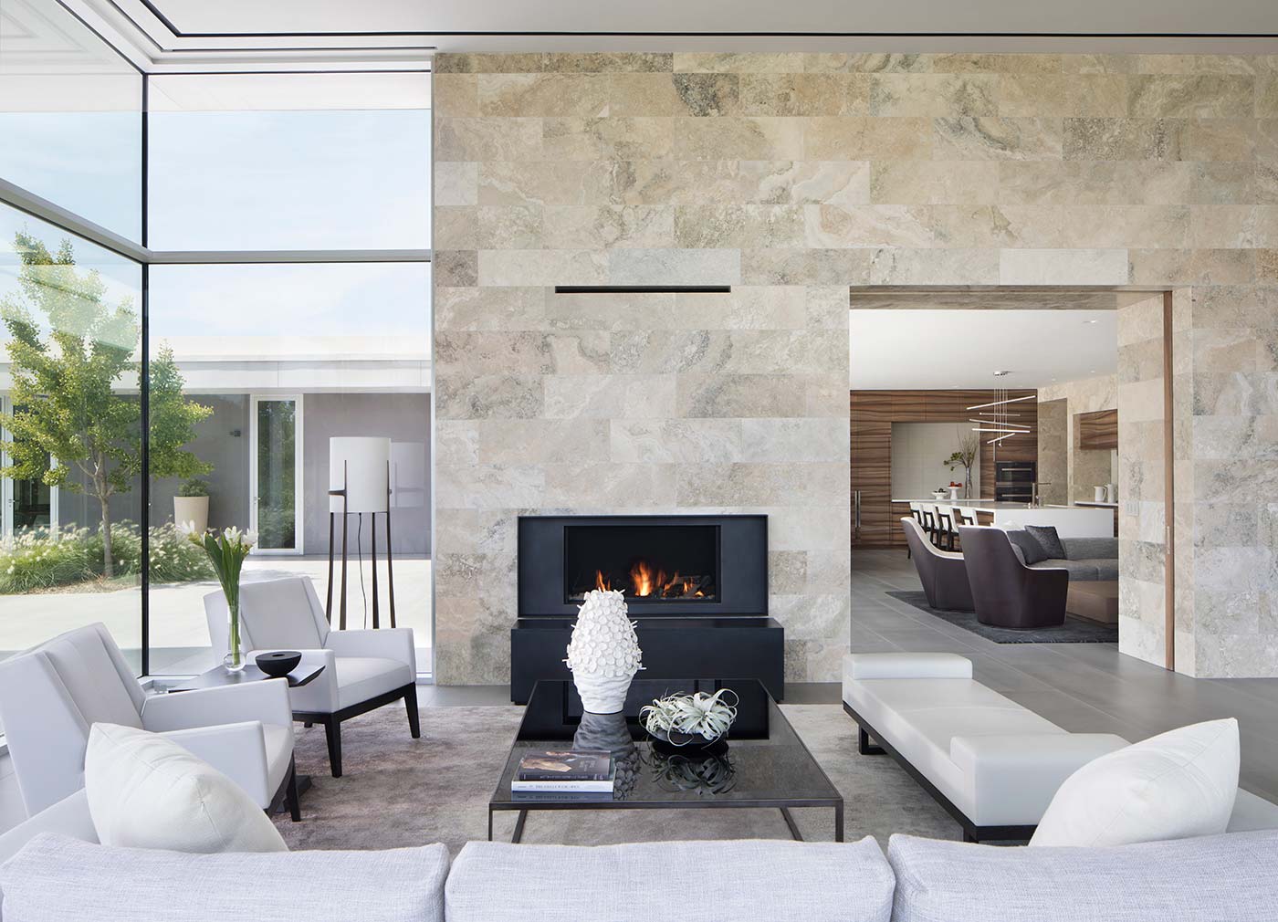 Modern Vineyard Estate
