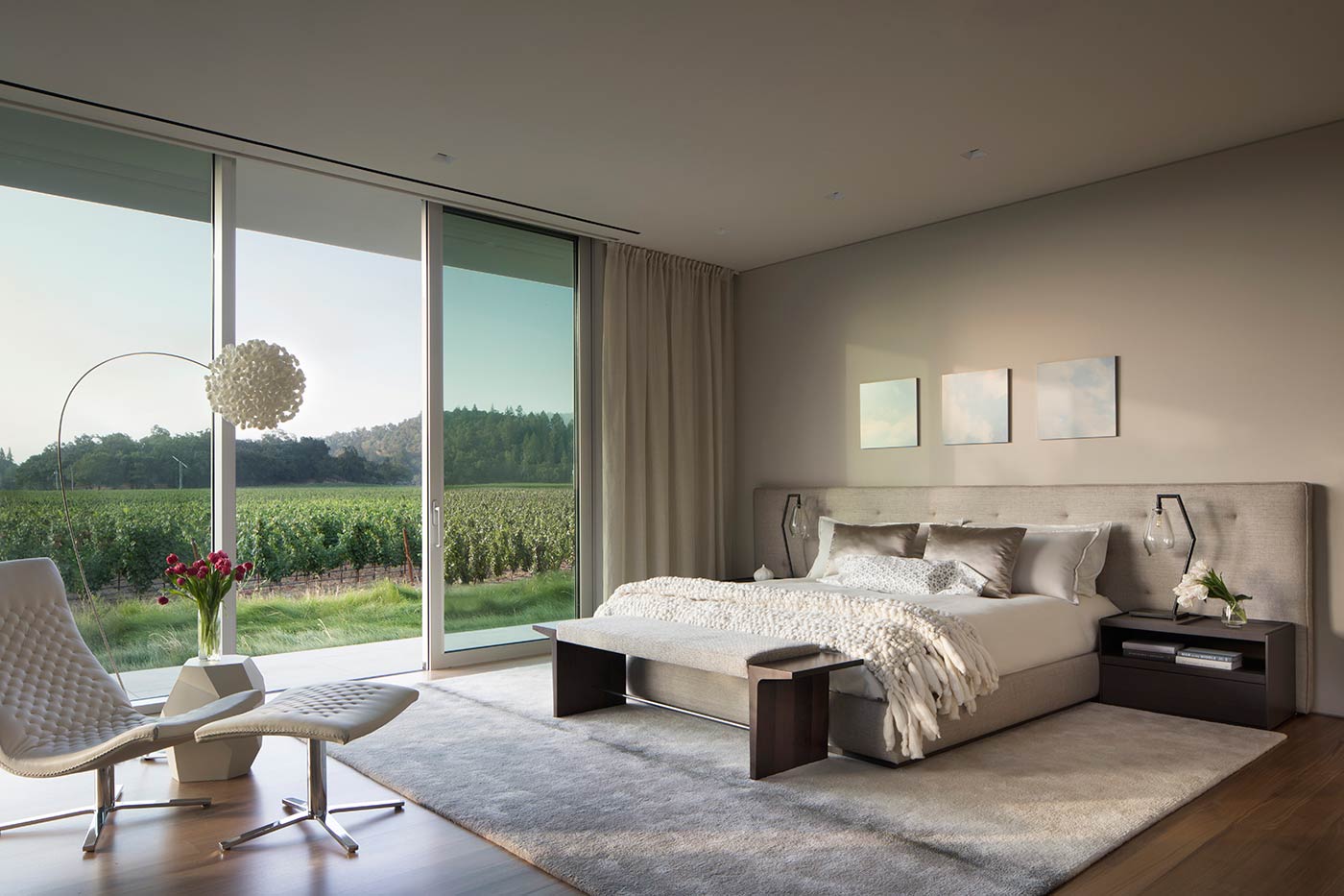 Modern Vineyard Estate