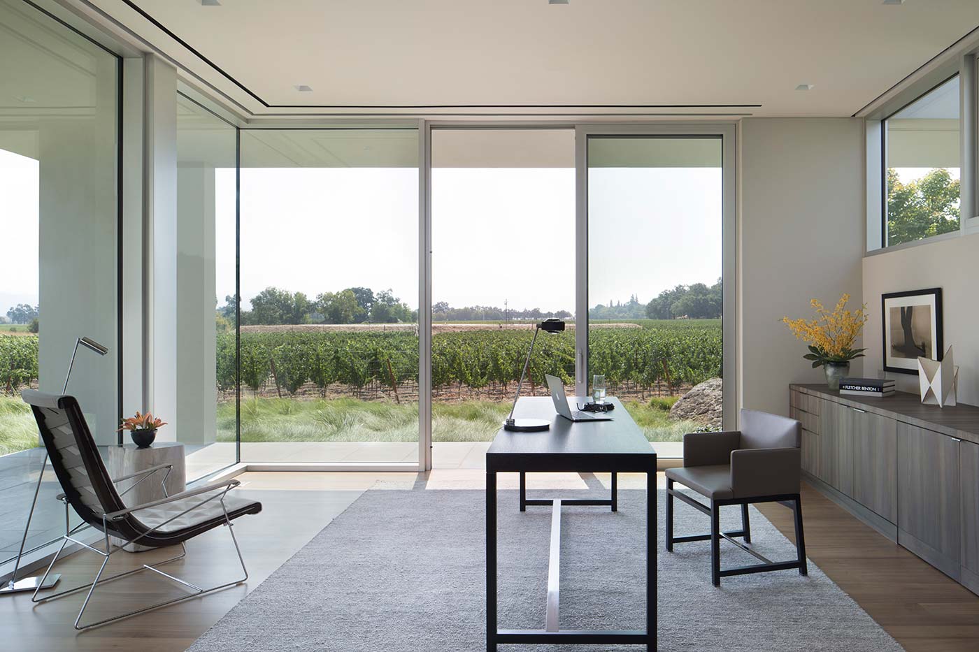 Modern Vineyard Estate